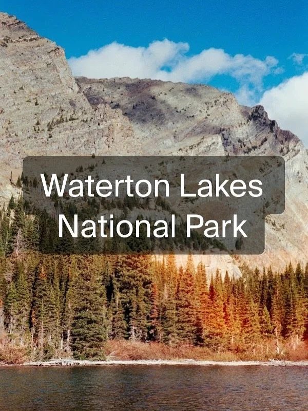 The view while backpacking with our dog to a backcountry campsite in Waterton Lakes National Park. 

Dogs are allowed to go with you anywhere you go in Canada&rsquo;s National Parks. It&rsquo;s important to know the rules of all parks before you brin