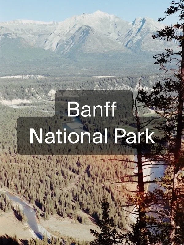 The view while hiking with our dog in Banff National Park. 

Dogs are allowed to go with you anywhere you go in Canada&rsquo;s National Parks. It&rsquo;s important to know the rules of all parks before you bring along your furry friend. 

Parks Canad