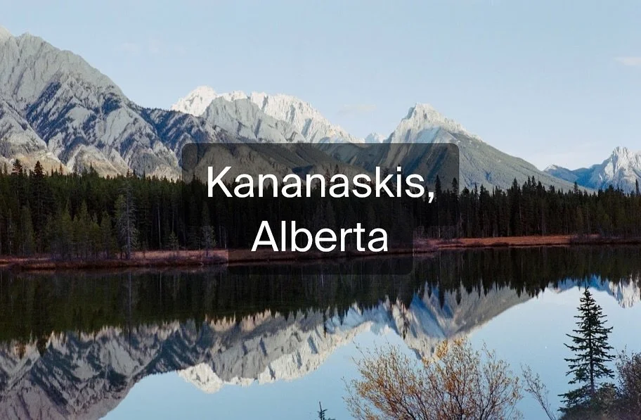 The view while roadtripping with our dog from Waterton Lakes National Park to Banff National Park. 

We chose to take route 742 as it is less traveled and we expected to find some great views. We were not disappointed! Always remember to be prepared 