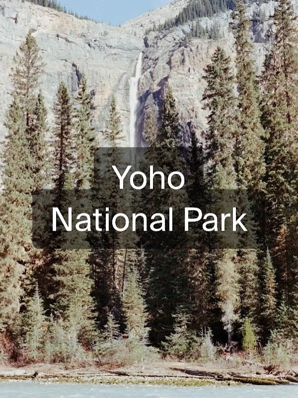 The view while hiking with our dog in Yoho National Park. 

Dogs are allowed to go with you anywhere you go in Canada&rsquo;s National Parks. It&rsquo;s important to know the rules of all parks before you bring along your furry friend. 

Parks Canada