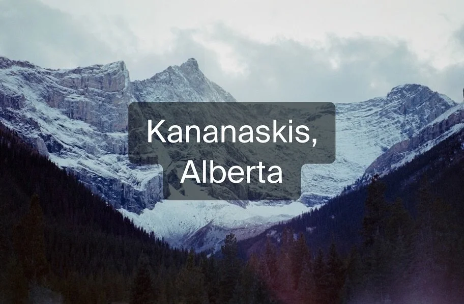 The view while roadtripping with our dog from Waterton Lakes National Park to Banff National Park. 

We chose to take route 742 as it is less traveled and we expected to find some great views. We were not disappointed! Always remember to be prepared 