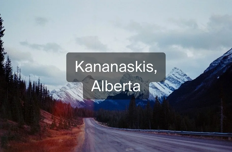 The view while roadtripping with our dog from Waterton Lakes National Park to Banff National Park. 

We chose to take route 742 as it is less traveled and we expected to find some great views. We were not disappointed! Always remember to be prepared 