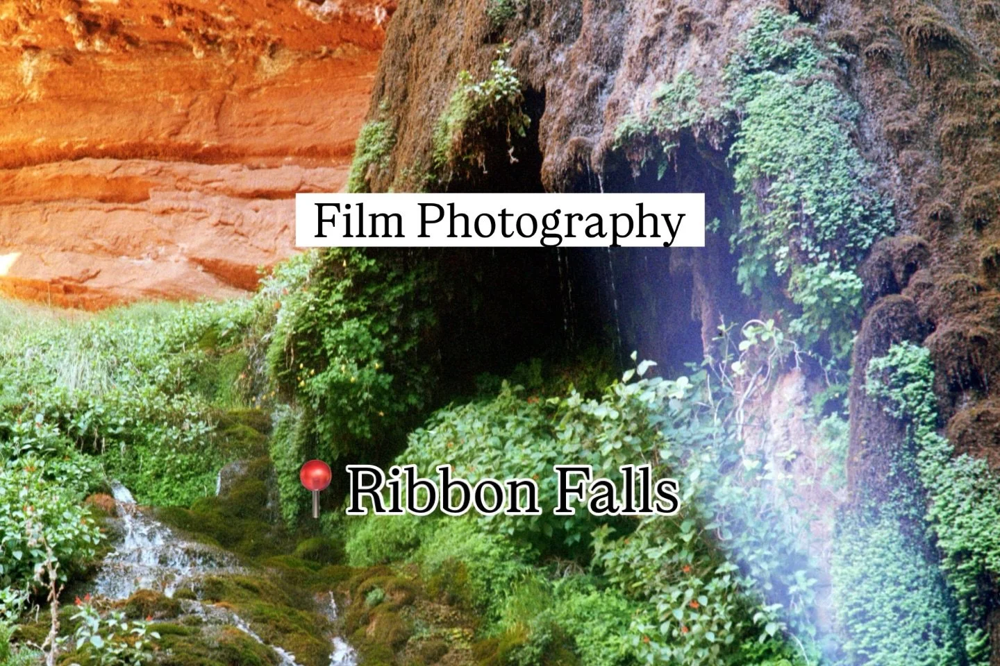 Did you think I was done positing about Ribbon Falls? Jokes on you, I am her fangirl and proud of it! 

My favorite part of admiring waterfalls is that there are so many different points of focus. Here, I enjoy watching the water drip off the moss of