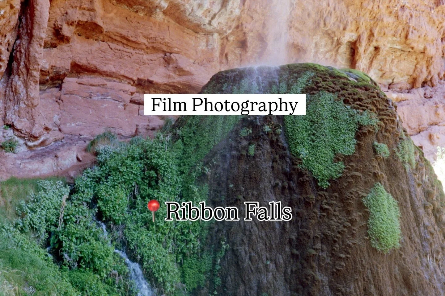 This focus view of Ribbon Falls captures the mist of the waterfall being blown by the wind. I really love watching the different ways the water moves depending on the direction and strength of the wind. 

What catches your eye in this photograph? Tel