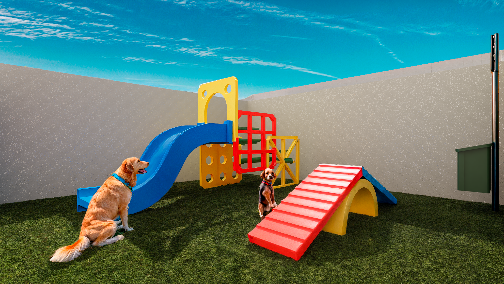 Pet Place