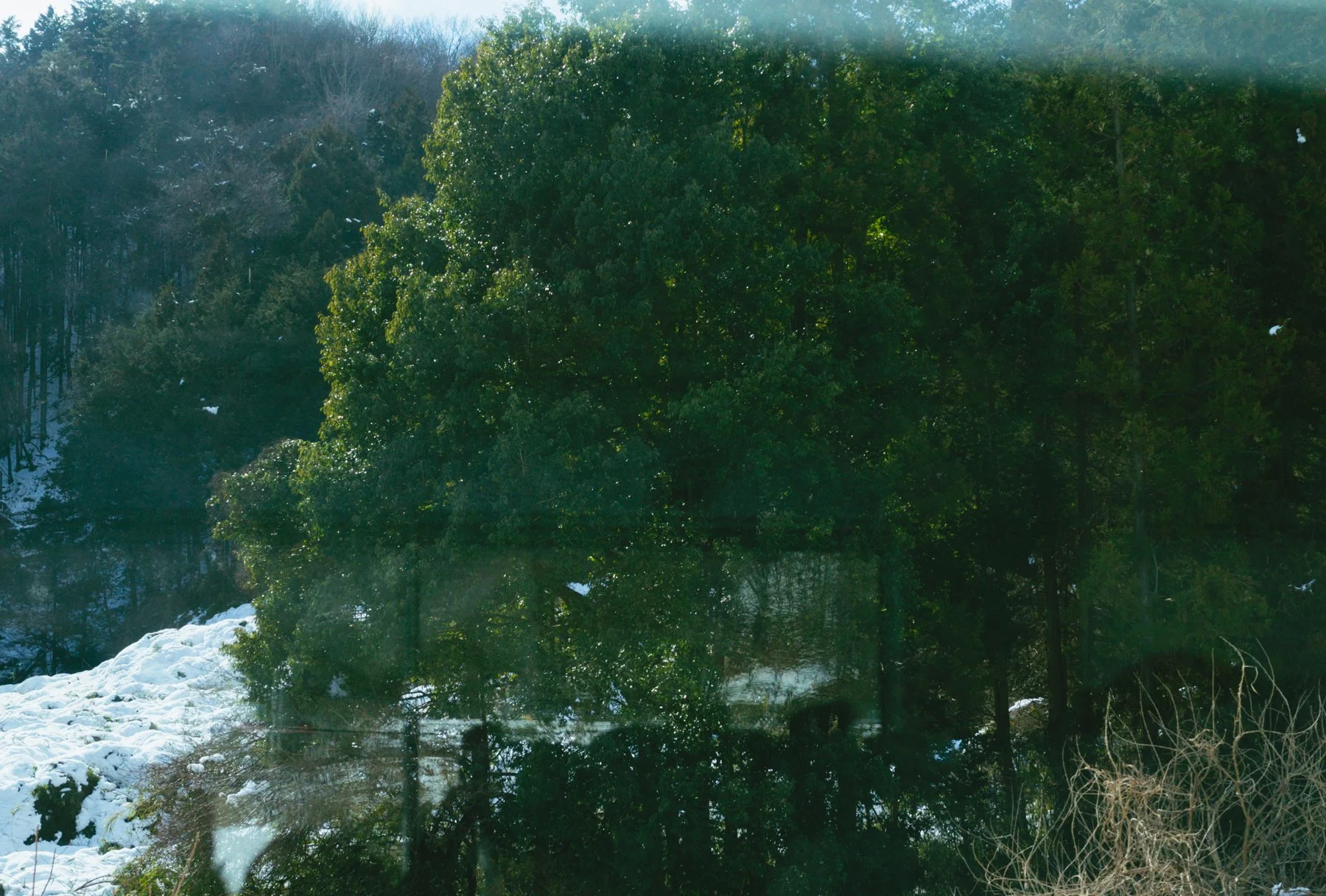 L1010404.jpg