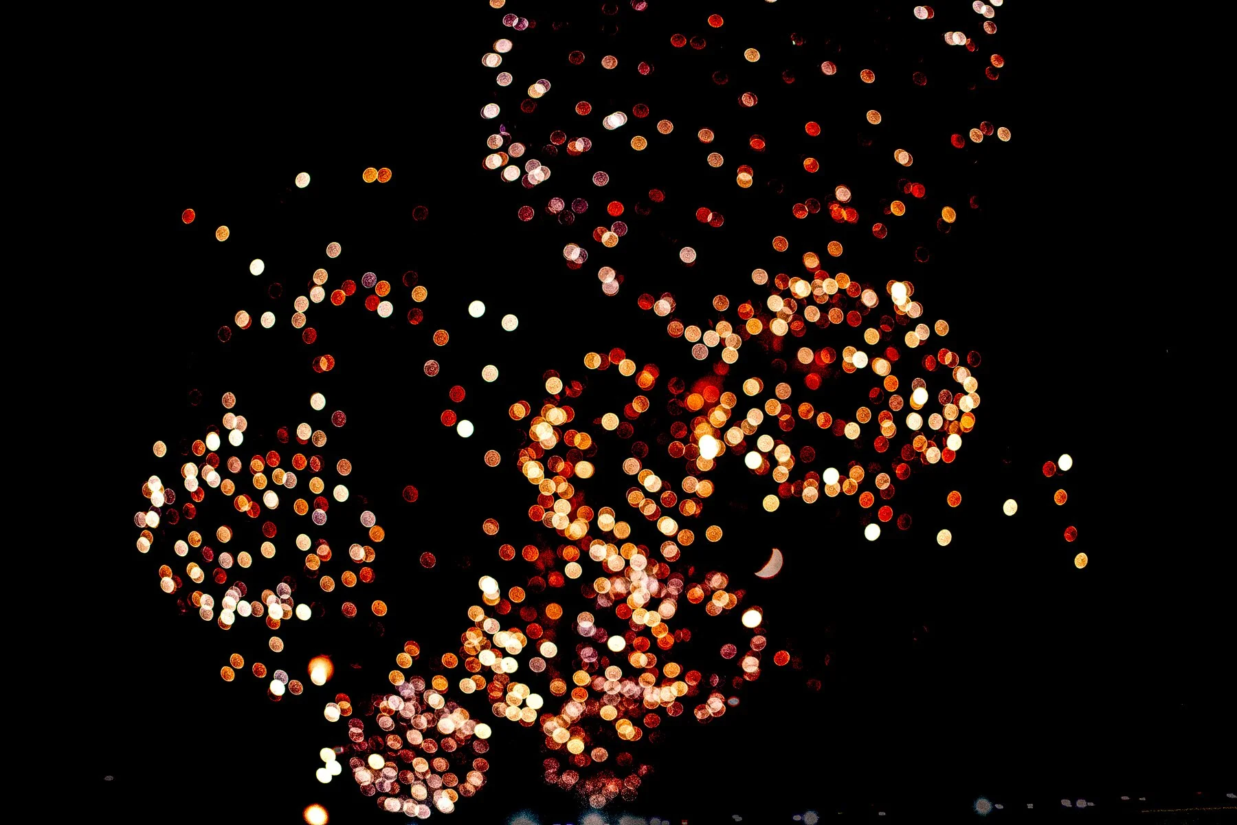 DSC01062-Edit.jpg