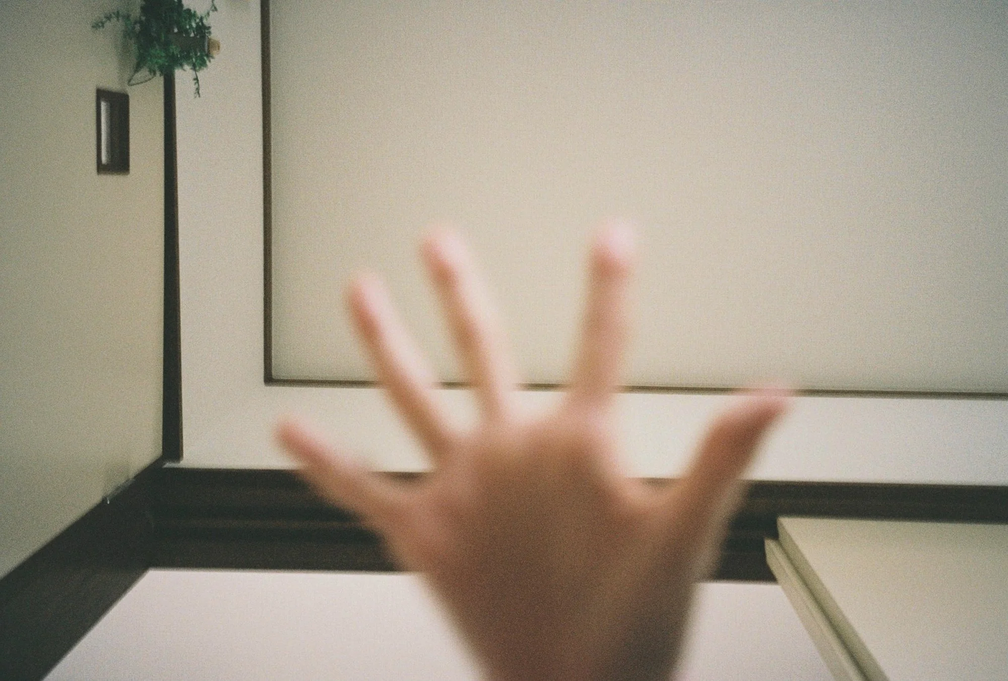 27070004.jpg