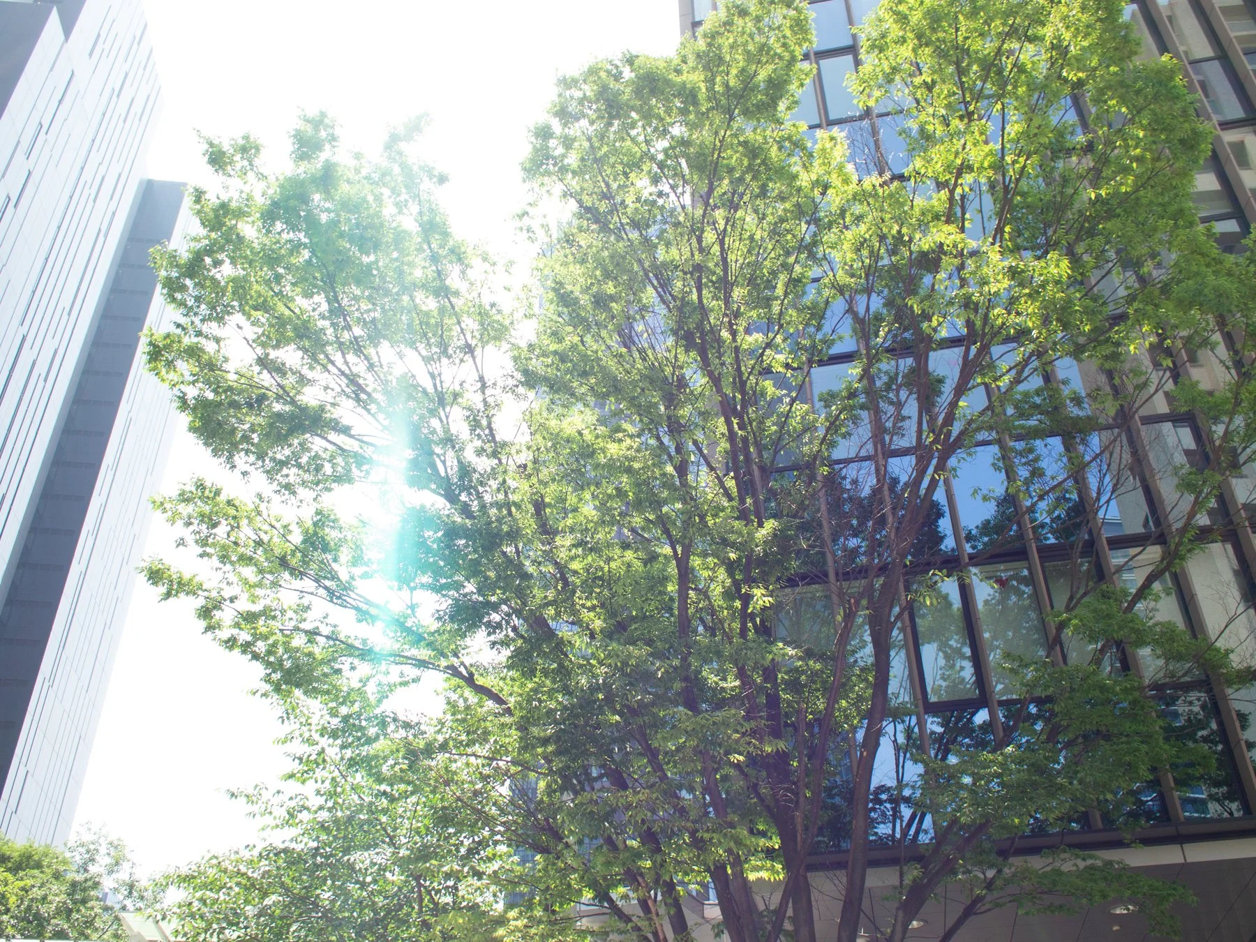 P1018560.jpg
