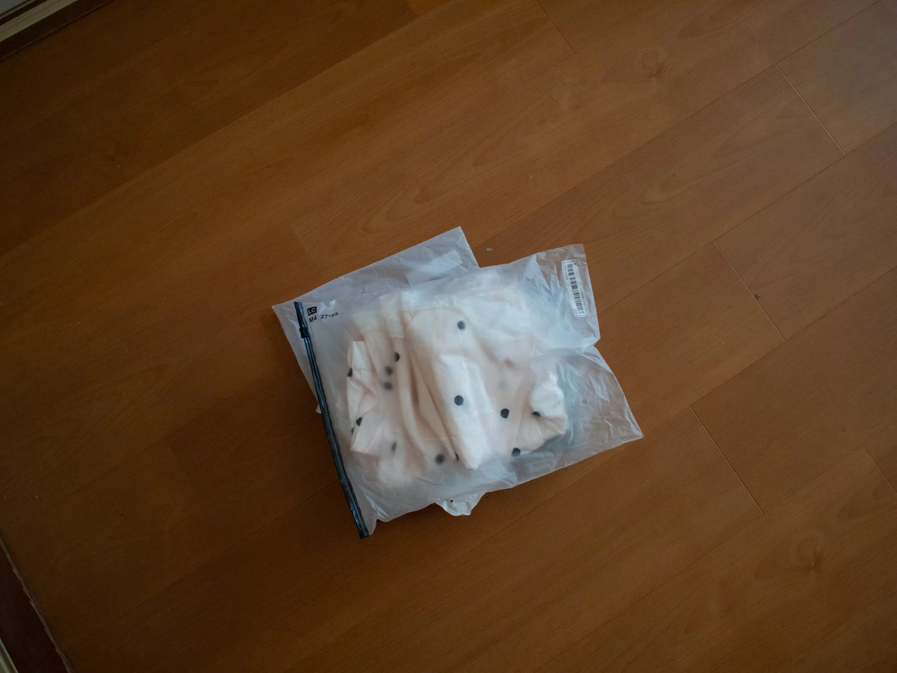 P1018618.jpg