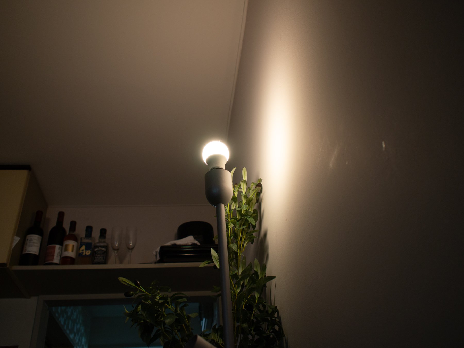 P1018863.jpg