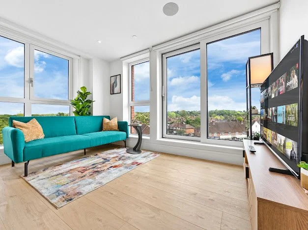 Bright living room with large windows, blue sofa with beige pillows, a colorful area rug, potted plant, and a TV on a wooden stand.