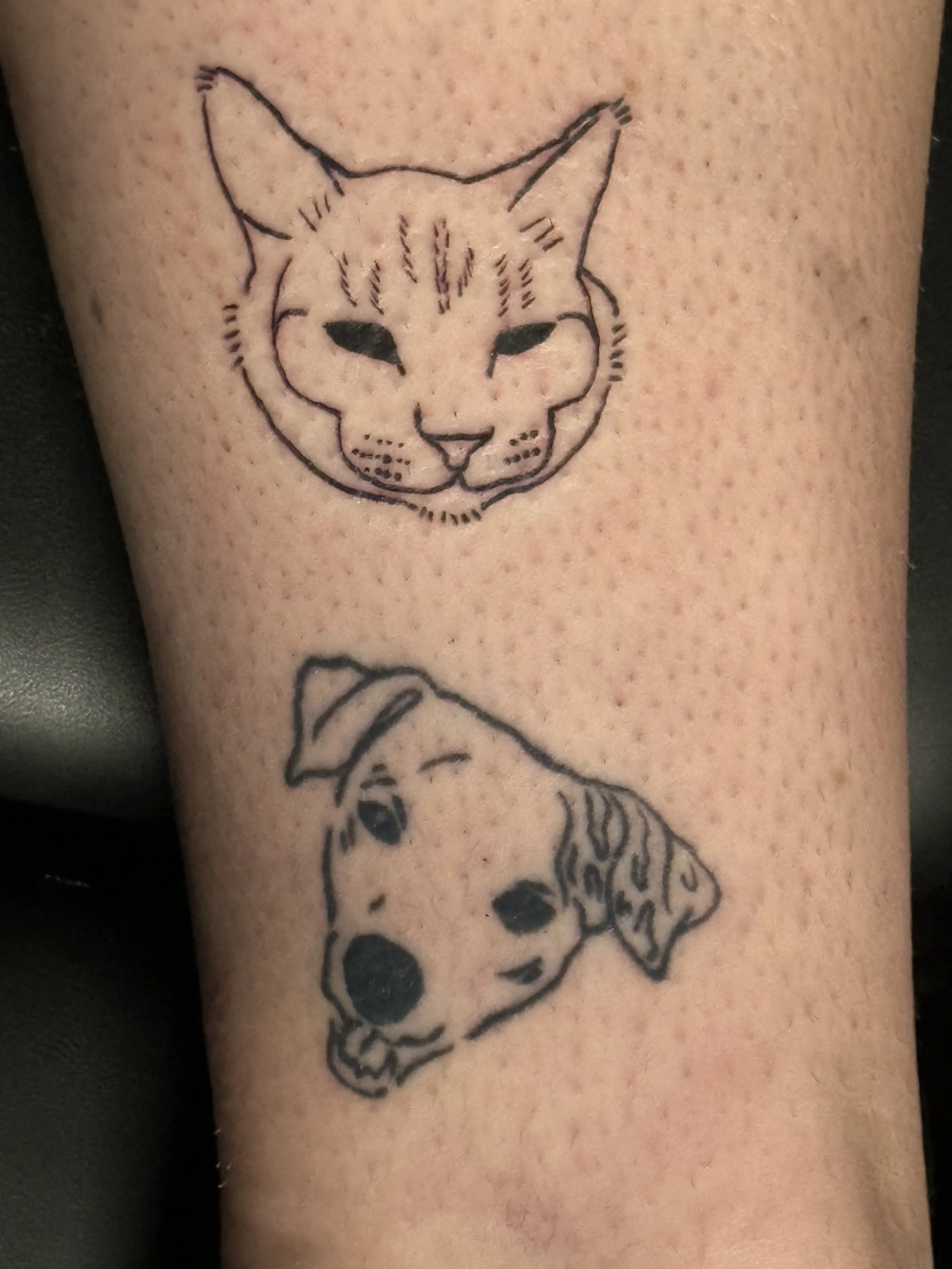 A custom line-style cat portrait created from the client’s photograph, emphasizing character through clean, intentional lines.