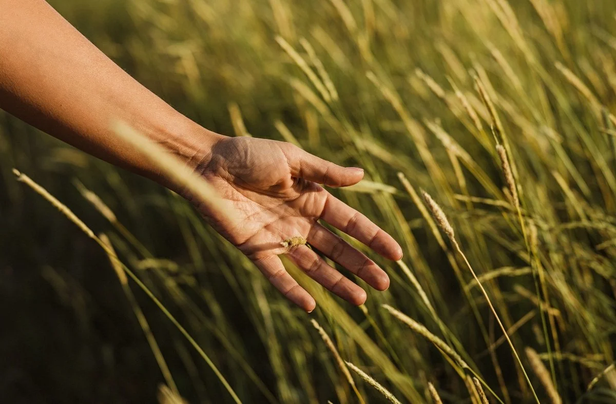 Every Yes Comes with a No: On Gratitude, Grief, and the Lives We Don't Get to Live