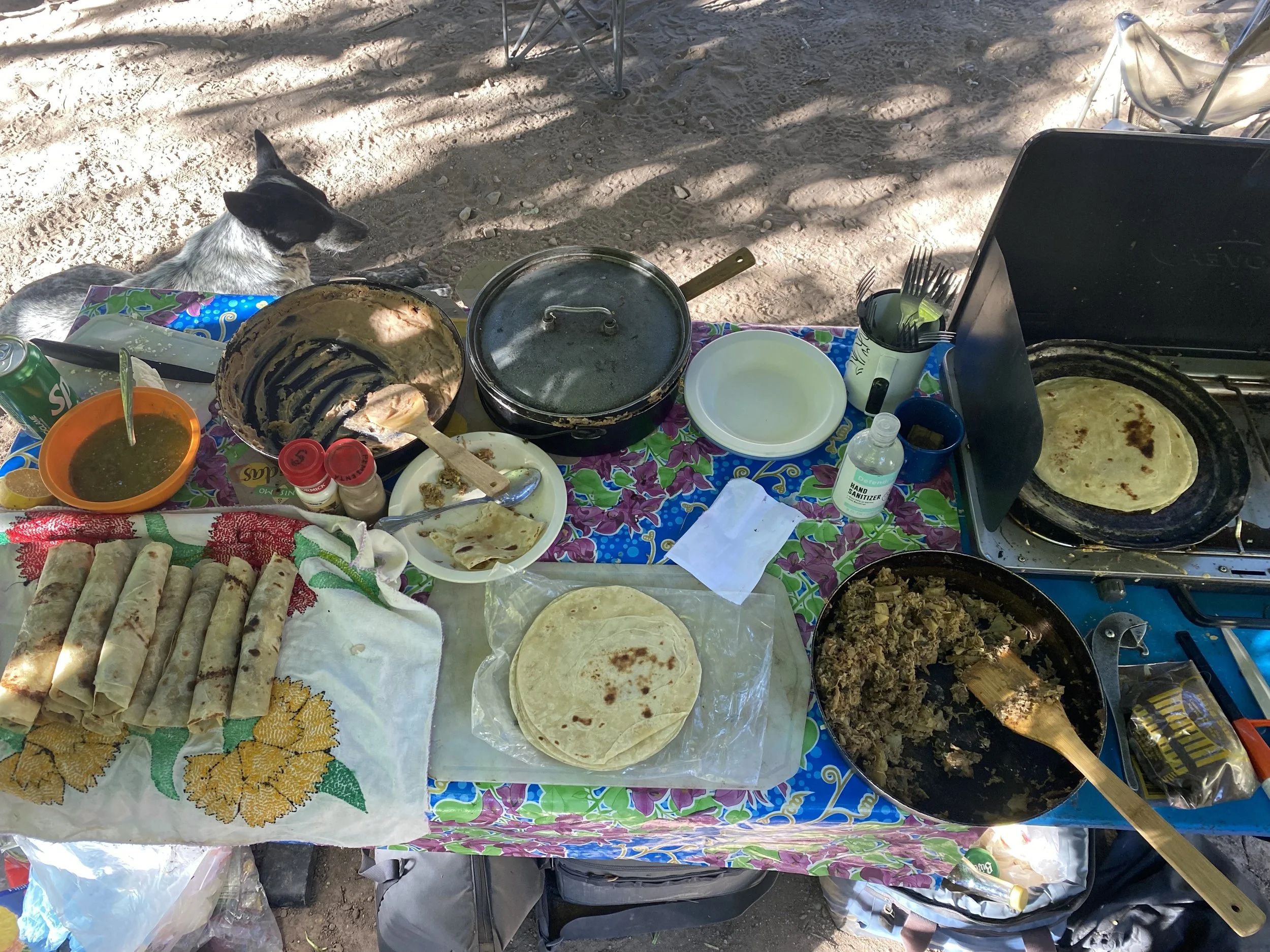 An outdoor taco-making setup with tortillas, cooked meat, a skillet with a cooked tortilla, and a dog resting beside a table covered with food and utensils.