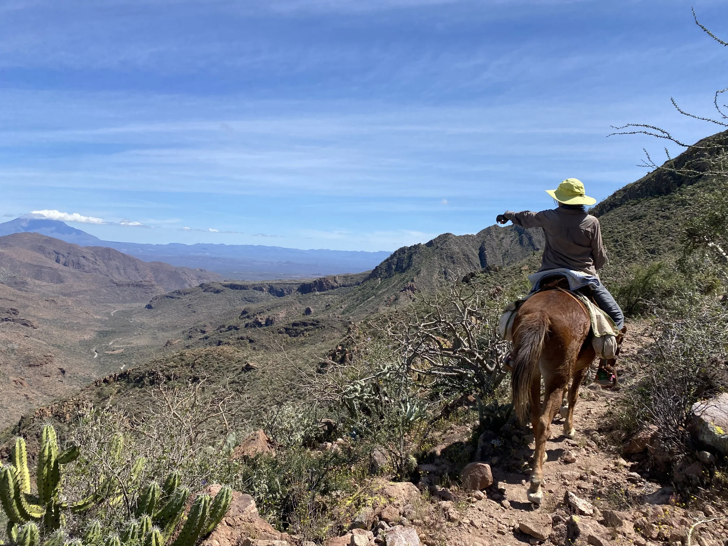 Person riding a horse on a mountain trail overlooking a desert valley with distant mountains and a blue sky.