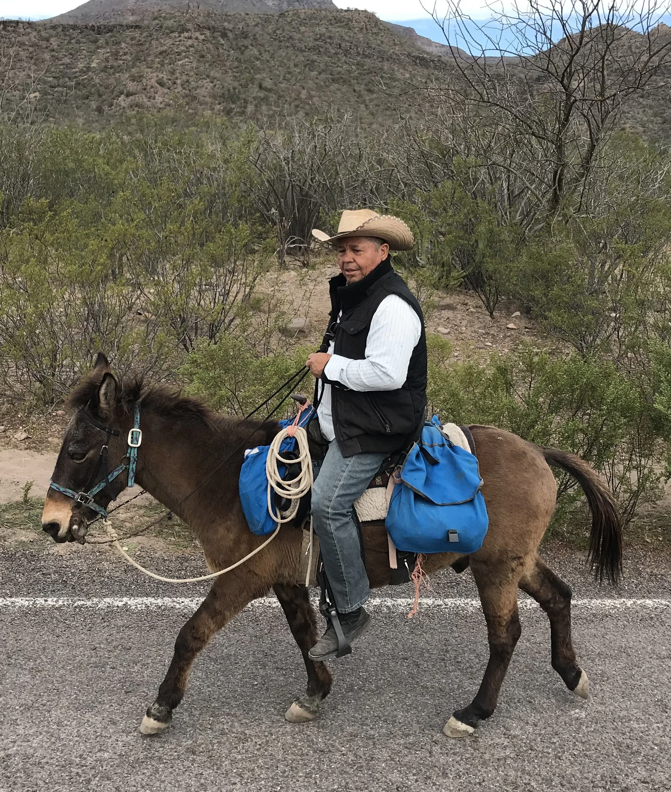 Man riding a brown horse on a dirt road in a desert landscape with mountains and bushes in the background, wearing a cowboy hat, black vest, and light-colored shirt.