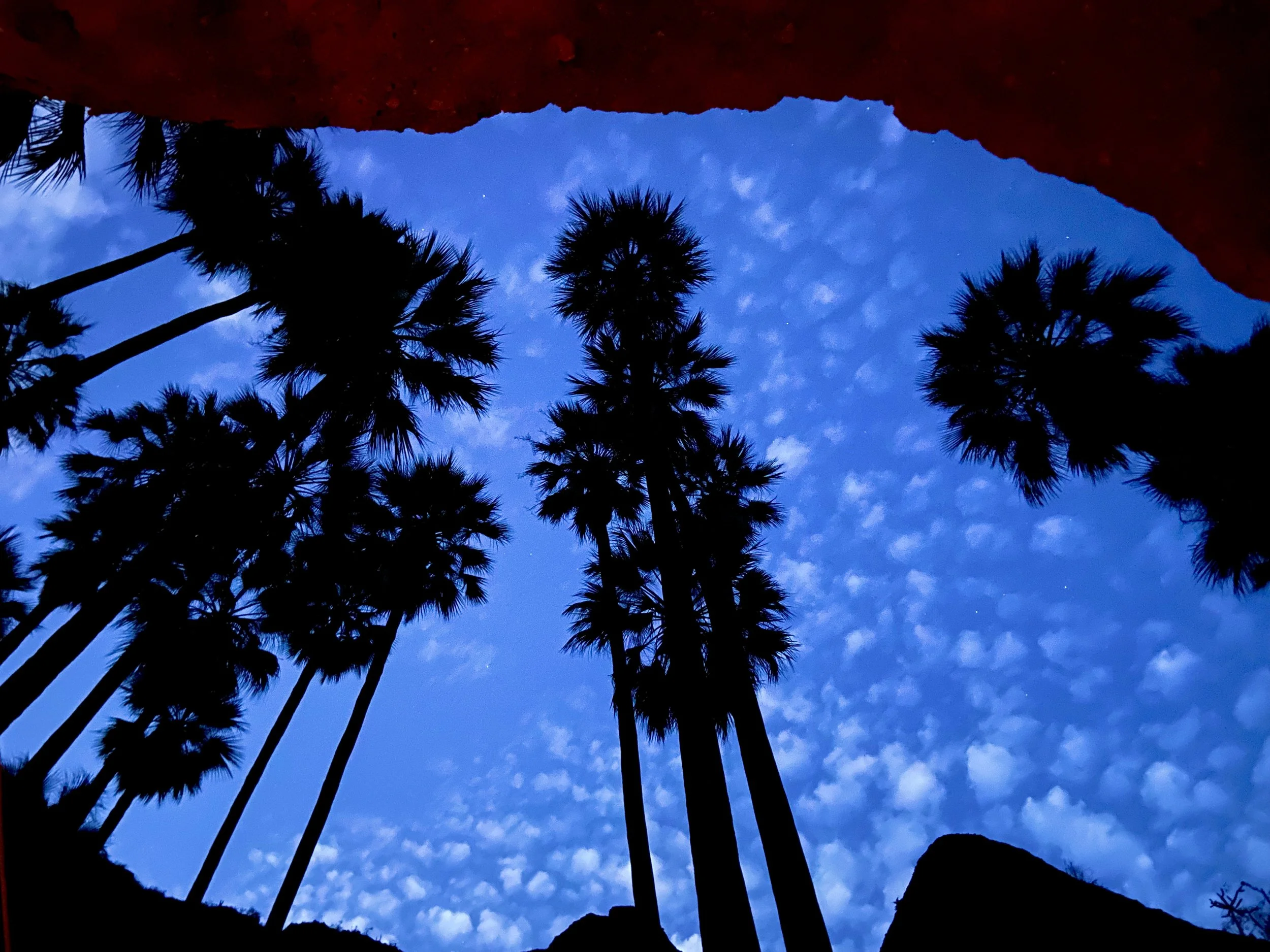Silhouetted palm trees against a blue sky with scattered clouds and stars, viewed from beneath a rocky outline.
