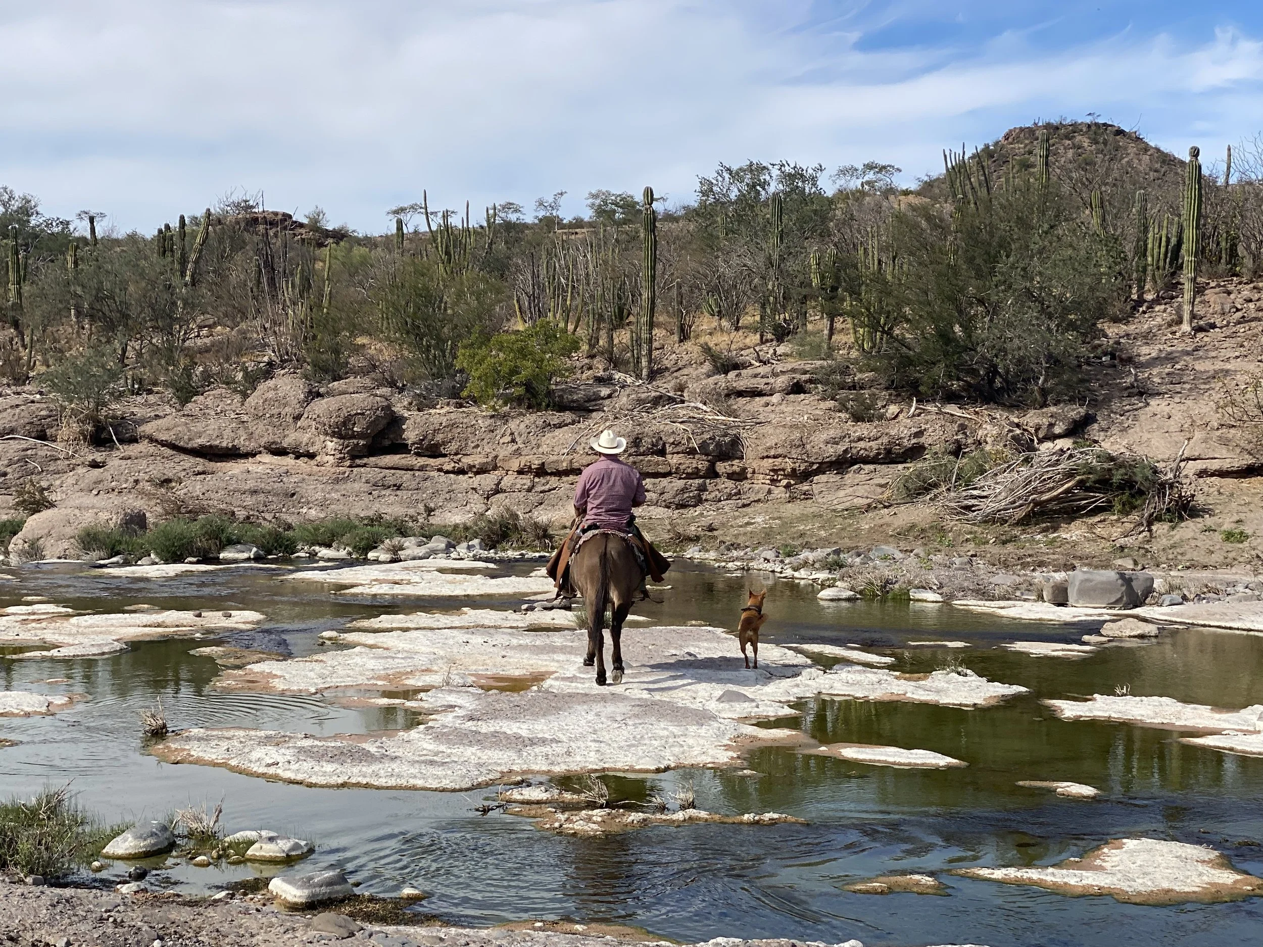 A person riding a horse across a rocky riverbank in a desert landscape with cacti and hills under a partly cloudy sky.