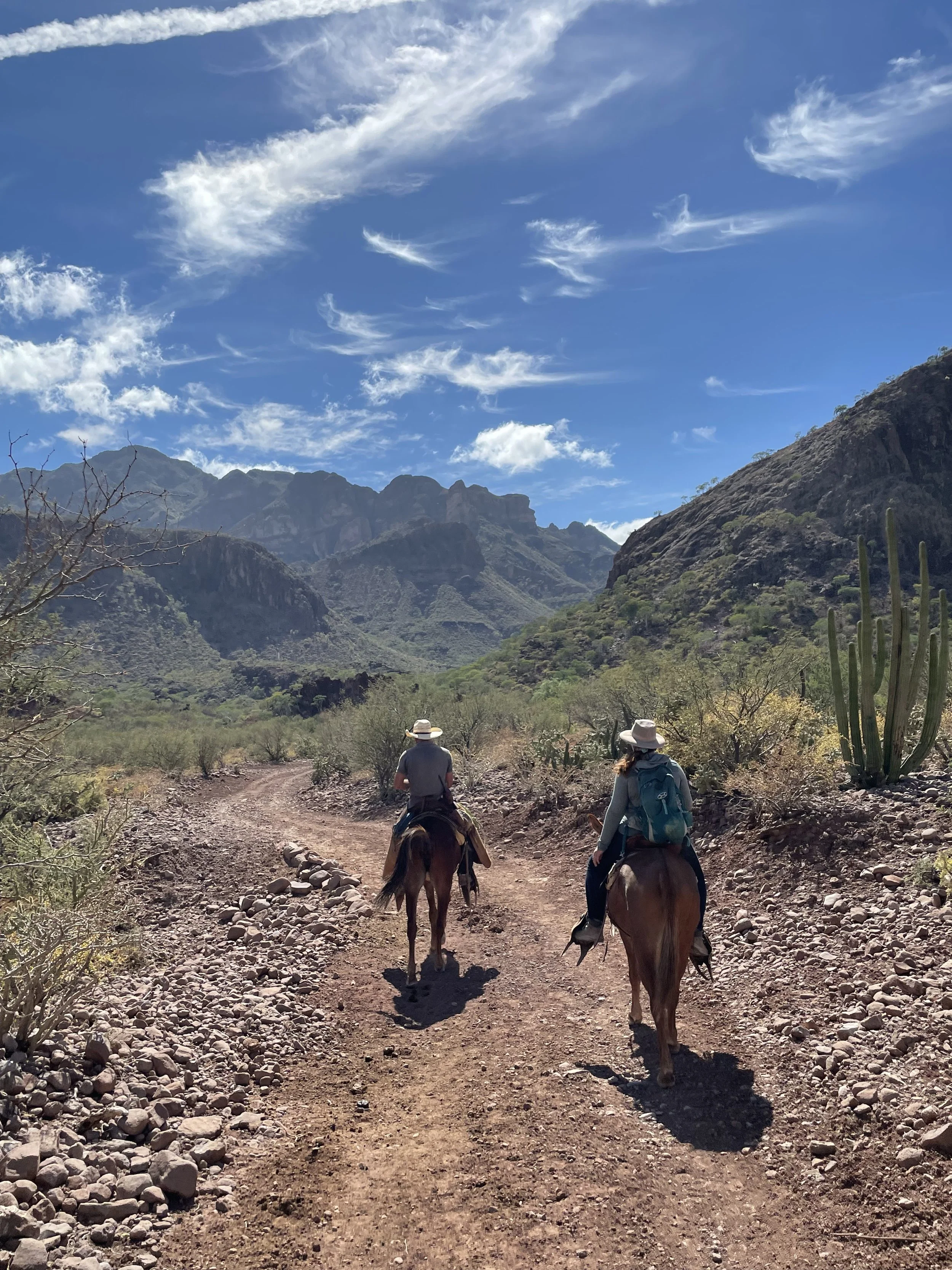 Two people riding horses on a dirt trail through a desert landscape with mountains, cacti, and a partly cloudy sky.