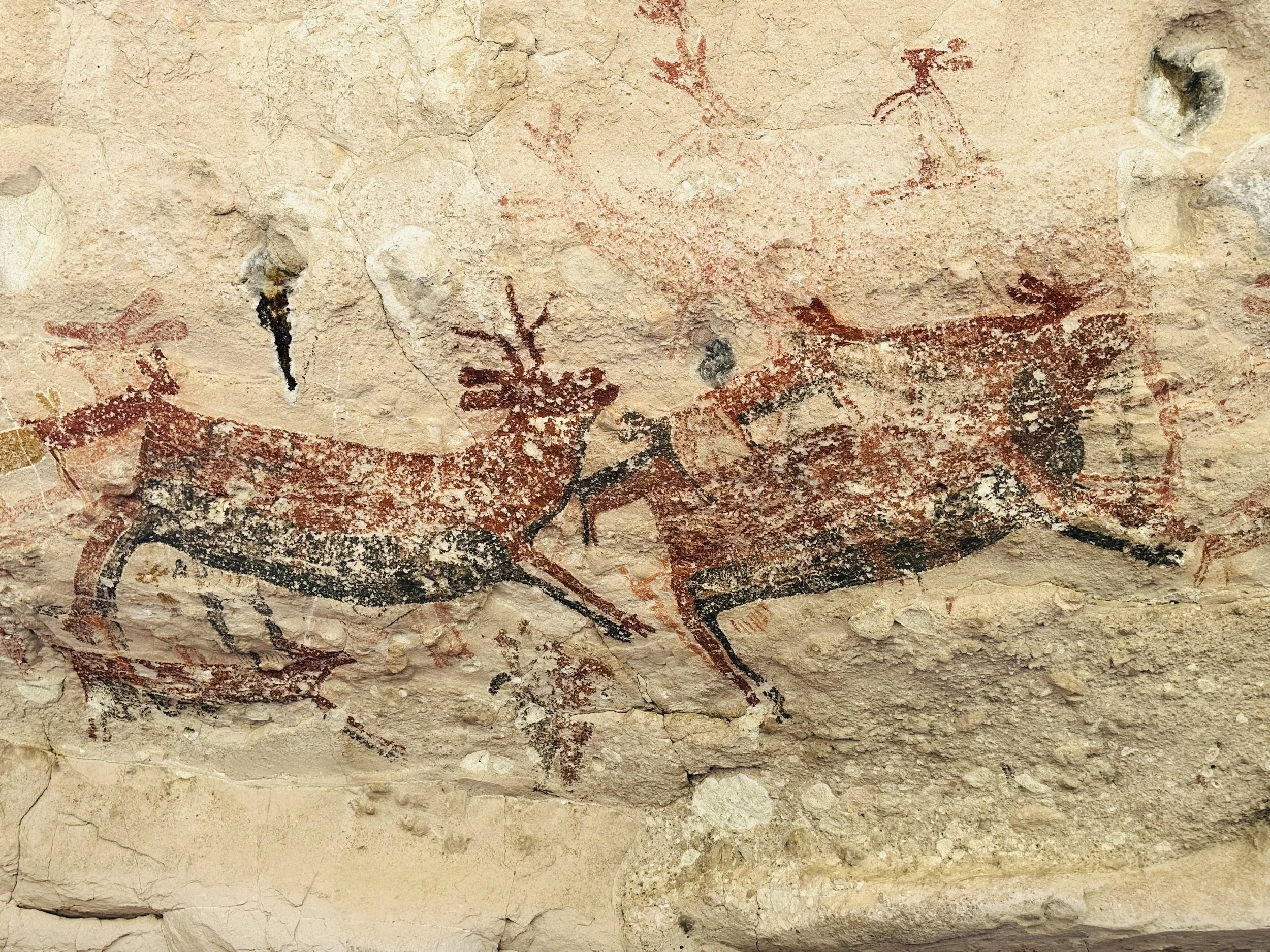 Prehistoric cave paintings of red and black deer or reindeer on a beige stone wall.