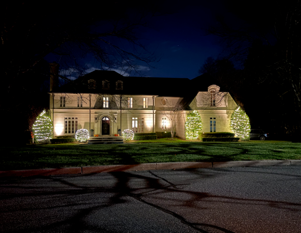 Christmas Lighting / Holiday Lighting on trees and bushes.