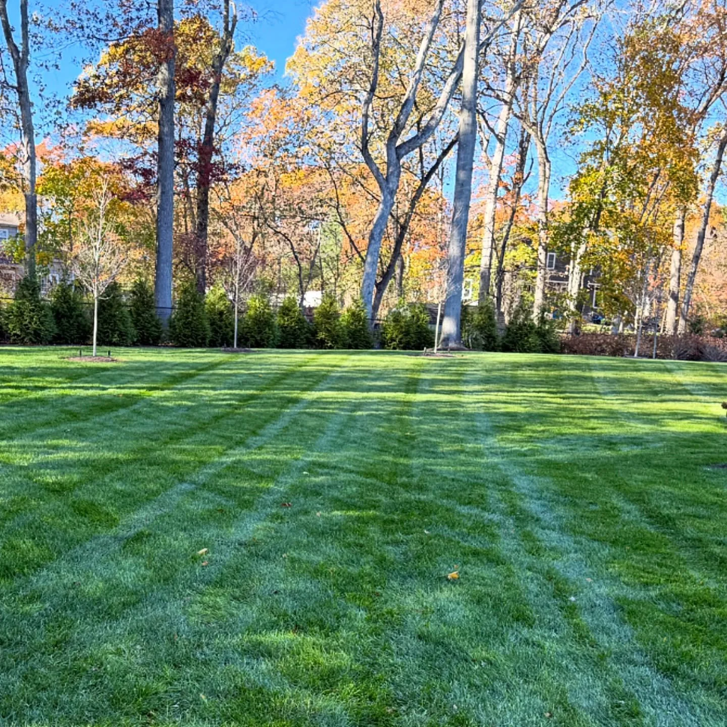 Autumn perfection, one stripe at a time. 🍂 Tag someone who needs this lawn 👇

#GreengoLandscaping #FallCleanUp #LawnStripes #BergenCountyNJ #LandscapingDesign