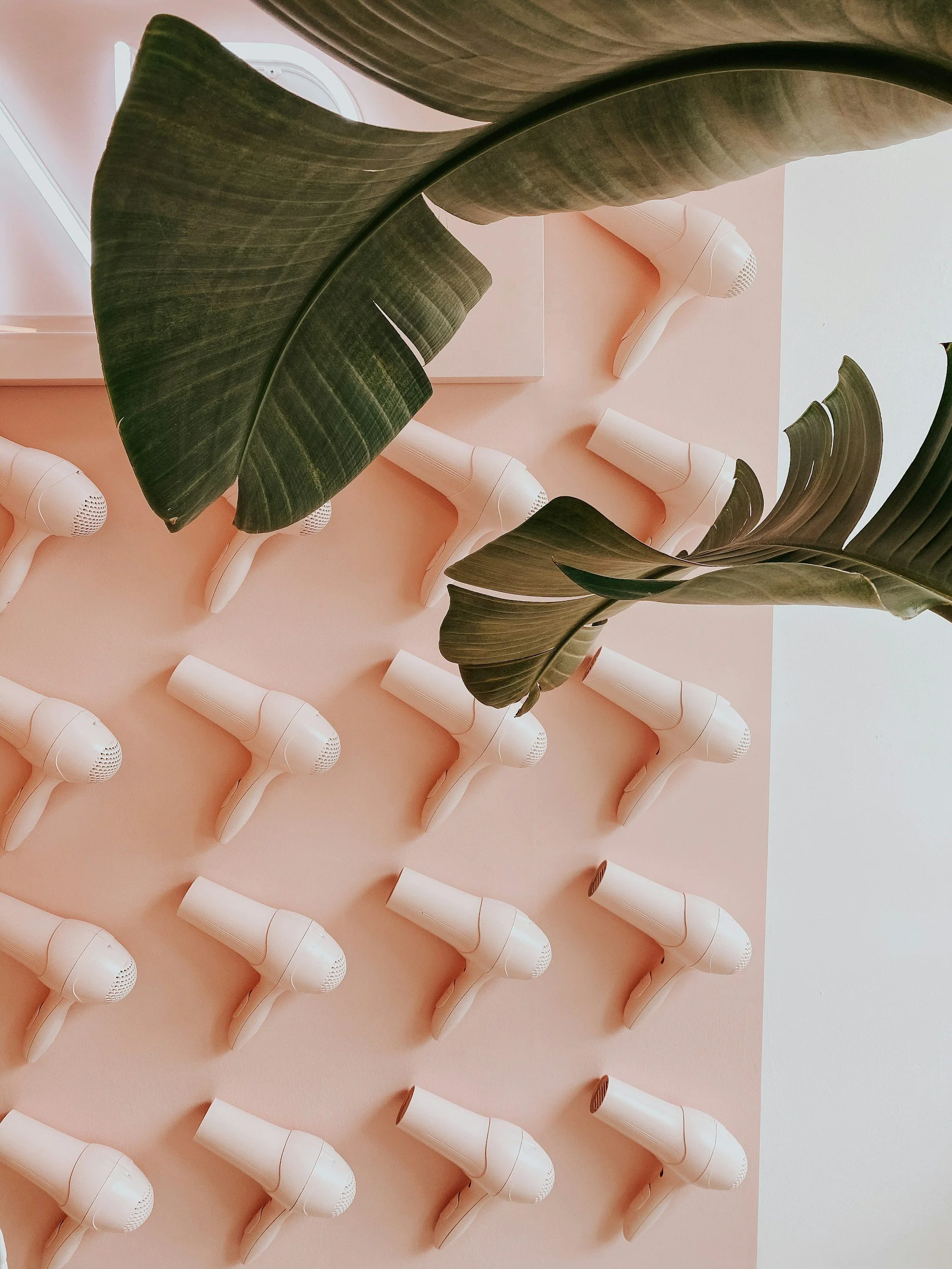 Multiple white hair dryers arranged in a grid pattern on a pink background, with large green tropical leaves partially covering the top of the image.
