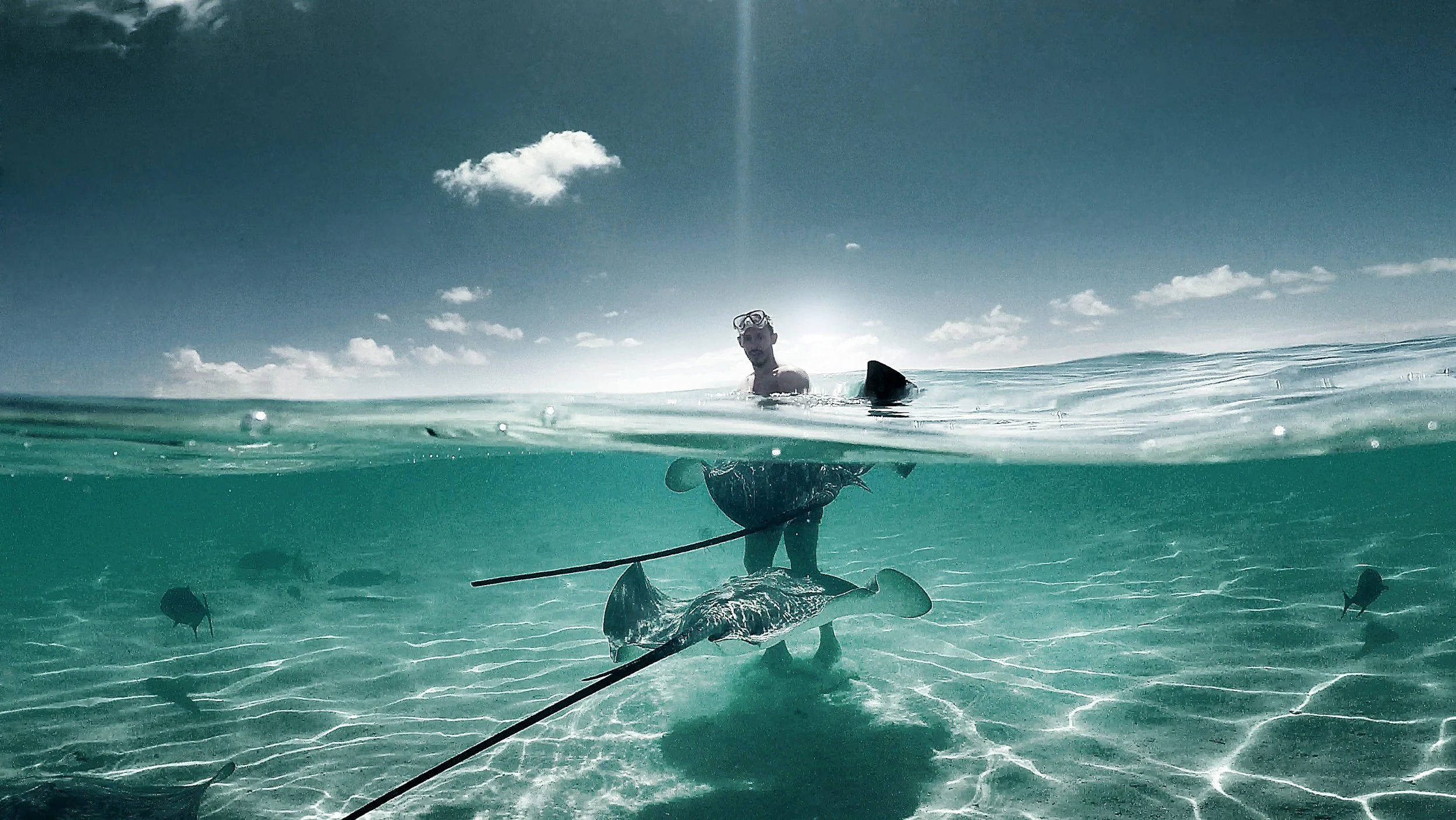 A person in snorkeling gear holding a fish with a fishing line in shallow clear ocean water, with a partly cloudy sky overhead.