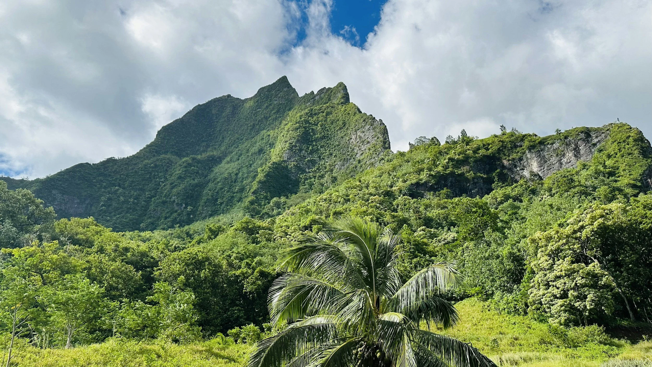 Lush green tropical mountains with dense forest and a palm tree in the foreground under a partly cloudy sky.