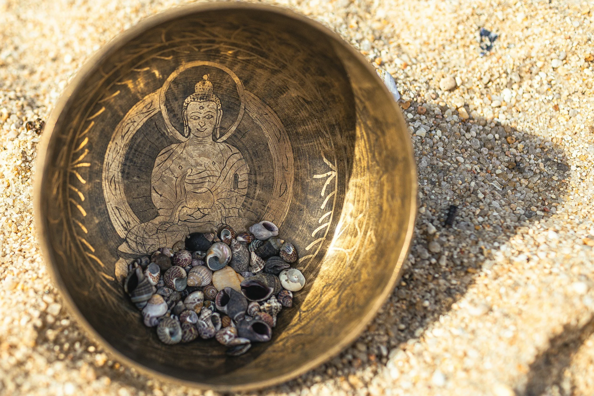 A brass bowl with an engraved image of a seated Buddha inside, resting on sandy ground, with small seashells collected inside the bowl.