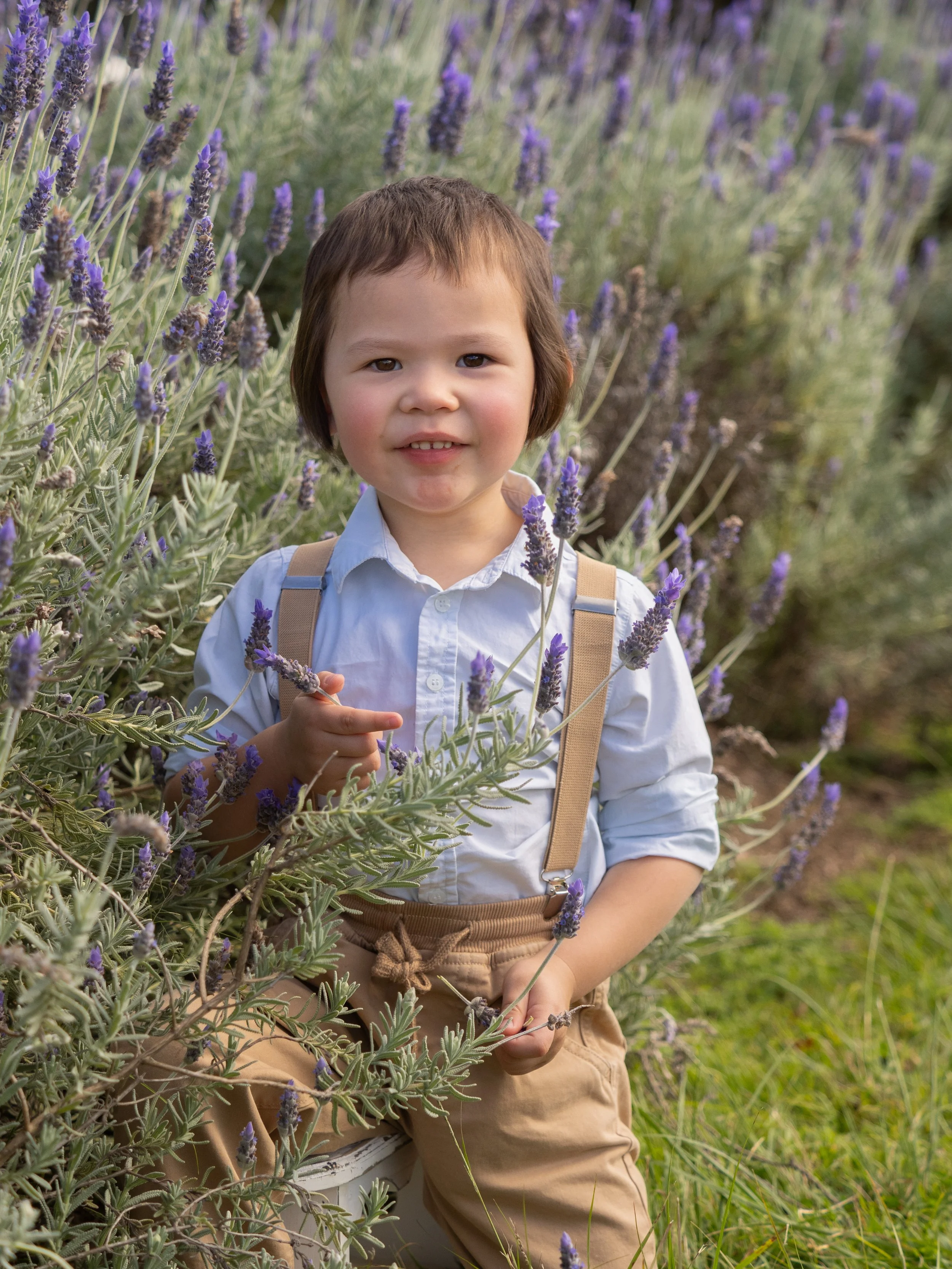 promo lavender (5 of 13).JPG