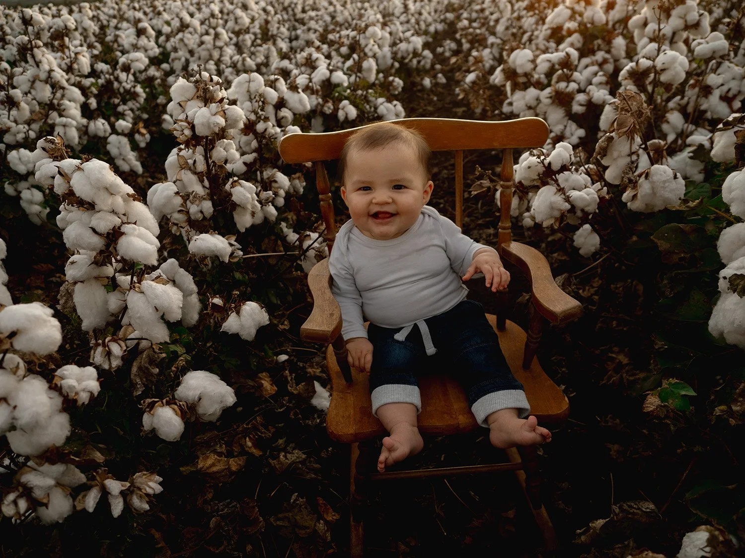 Cotton Field 2025 (44 of 48).jpg