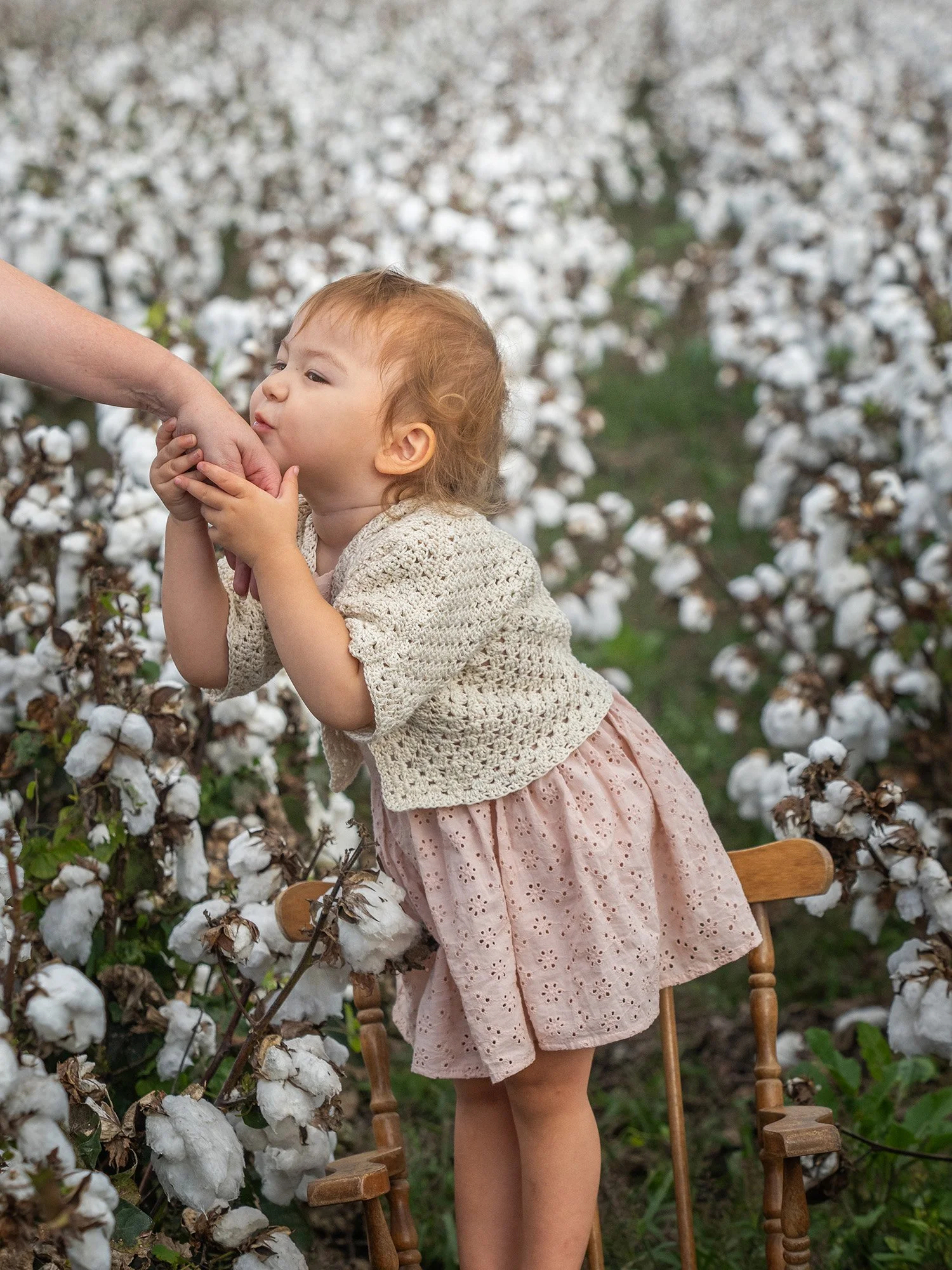 Cotton Mini-5180309.jpg