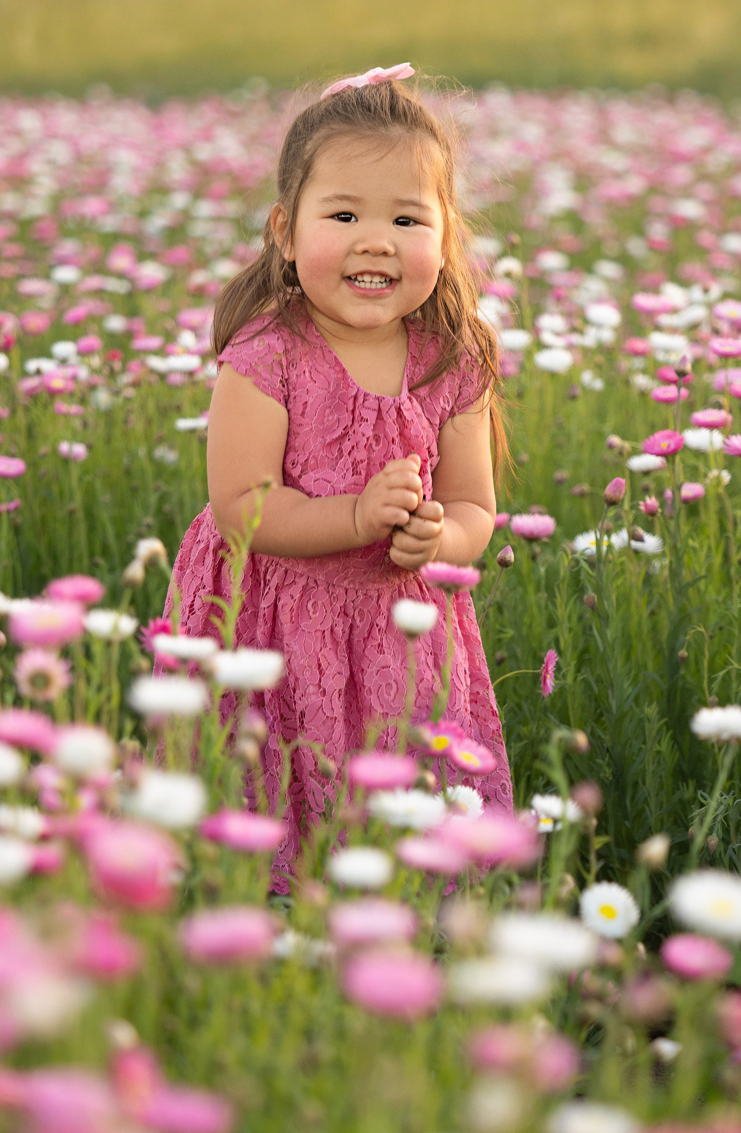 Daisies--11.jpg