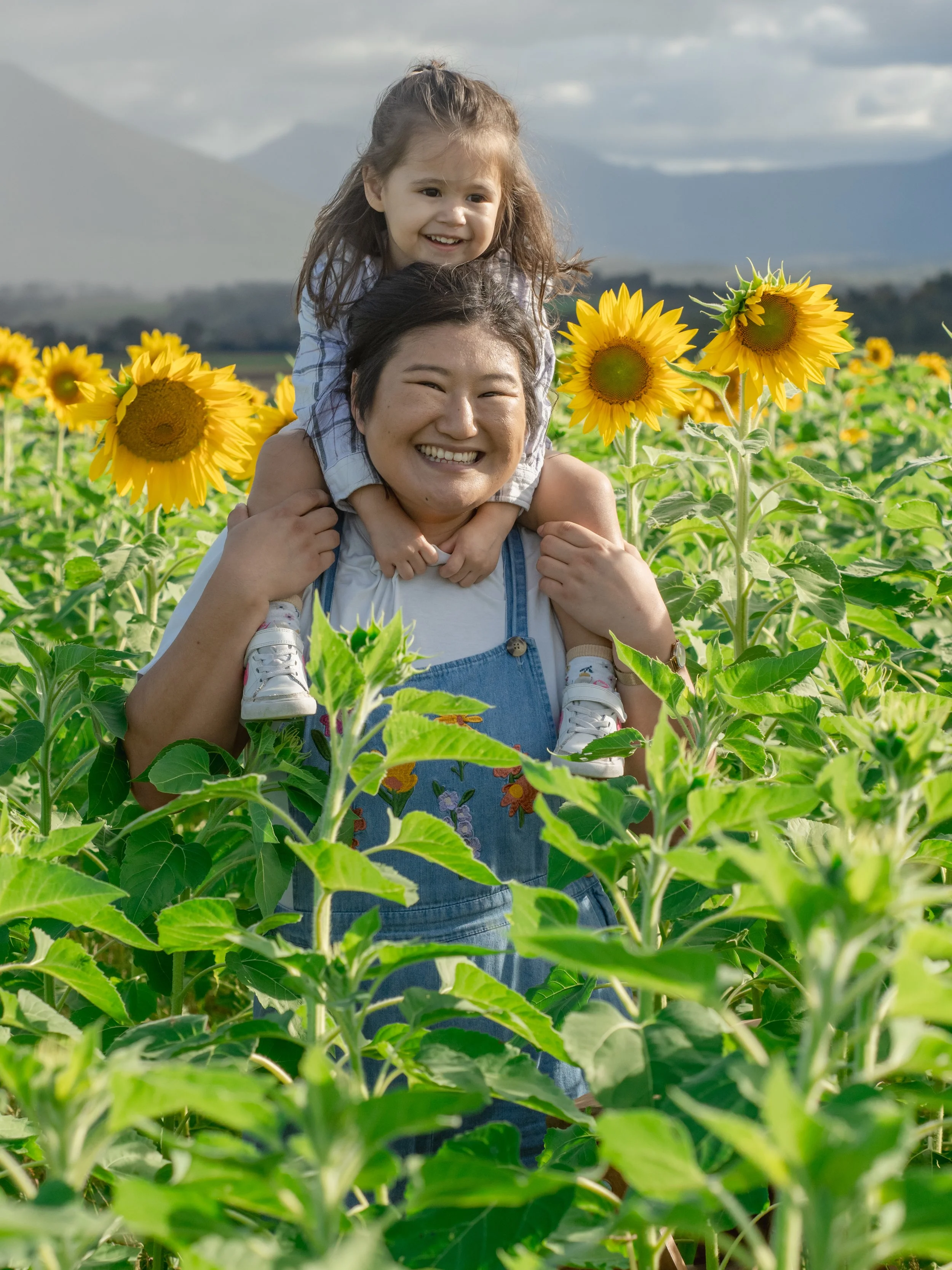 Kalbar Sunflowers 2025 (38 of 75).JPG