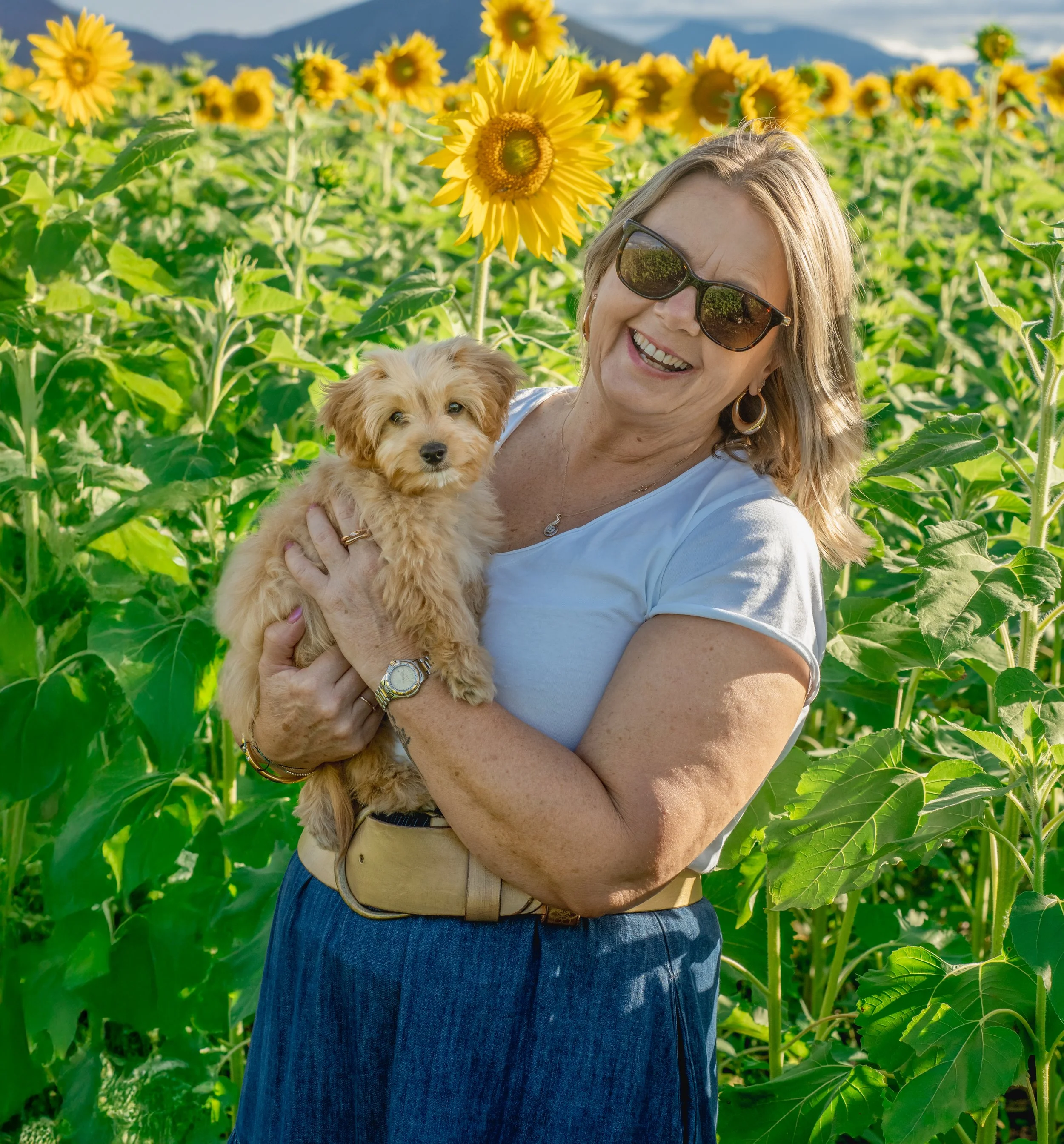Kalbar Sunflowers 2025 (66 of 75).JPG