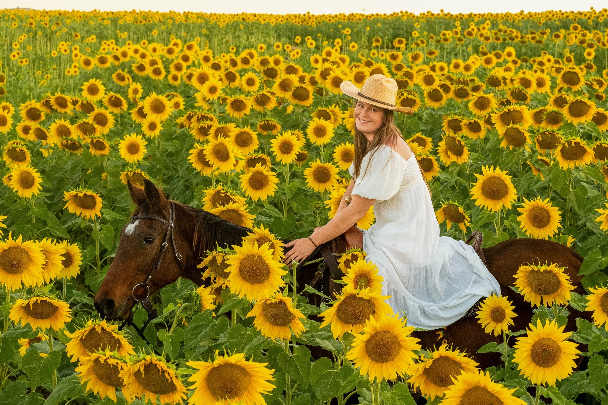 How to Prepare for Your Horse Photo Session | The Complete Equine Photography Prep Guide