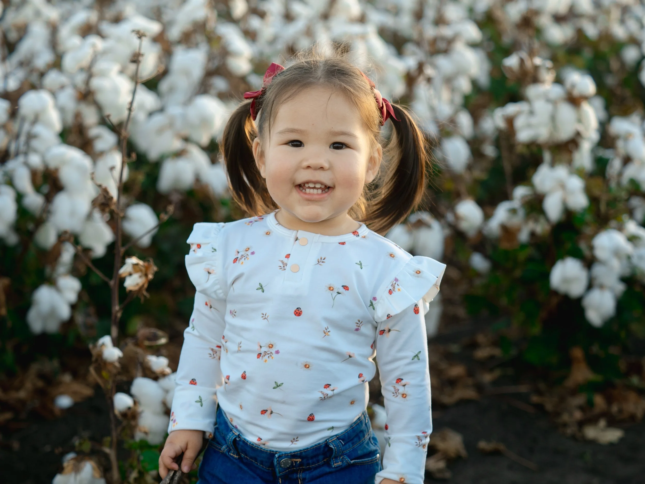 Cotton Field 2025 (17 of 48).JPG