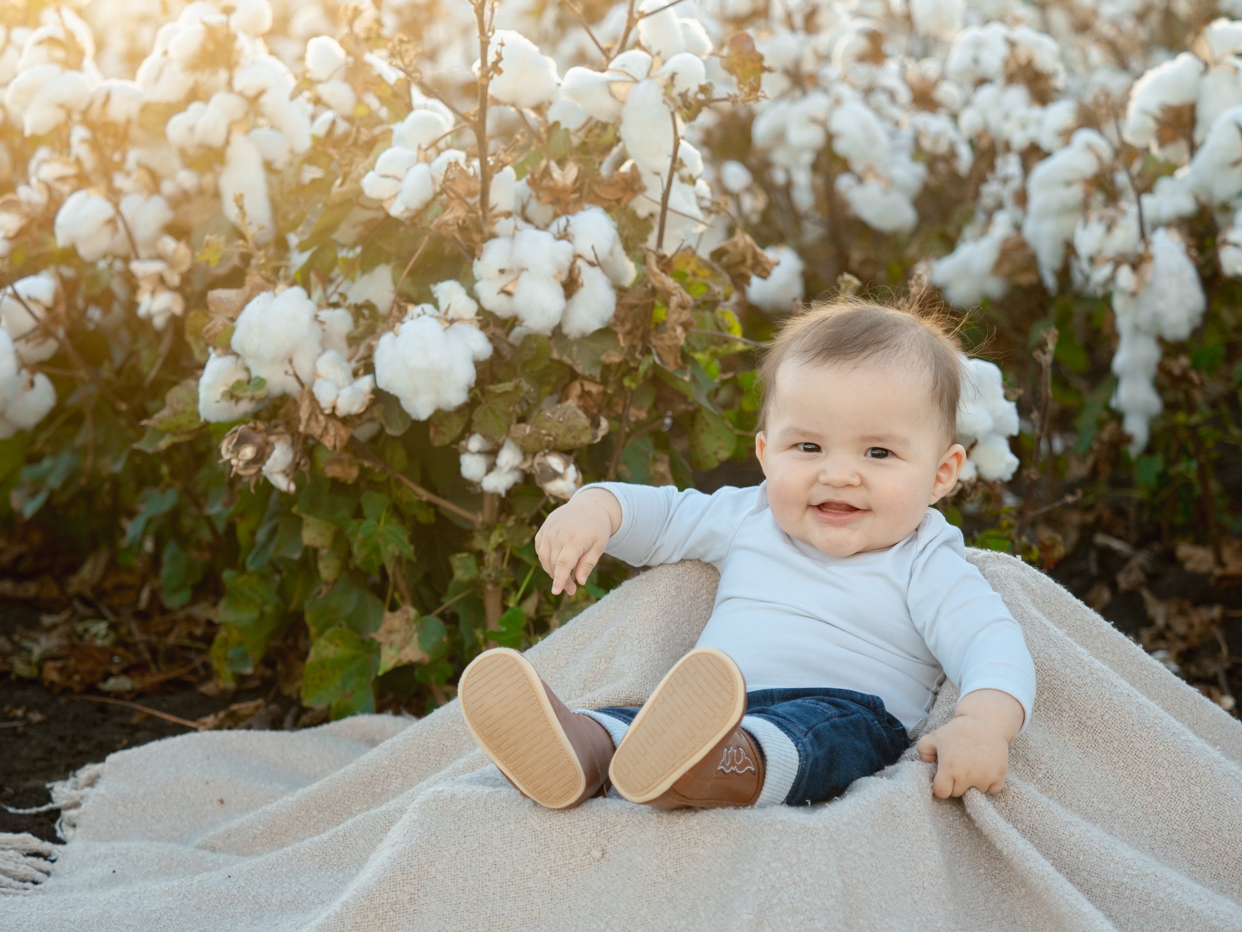 Cotton Field 2025 (20 of 48).JPG