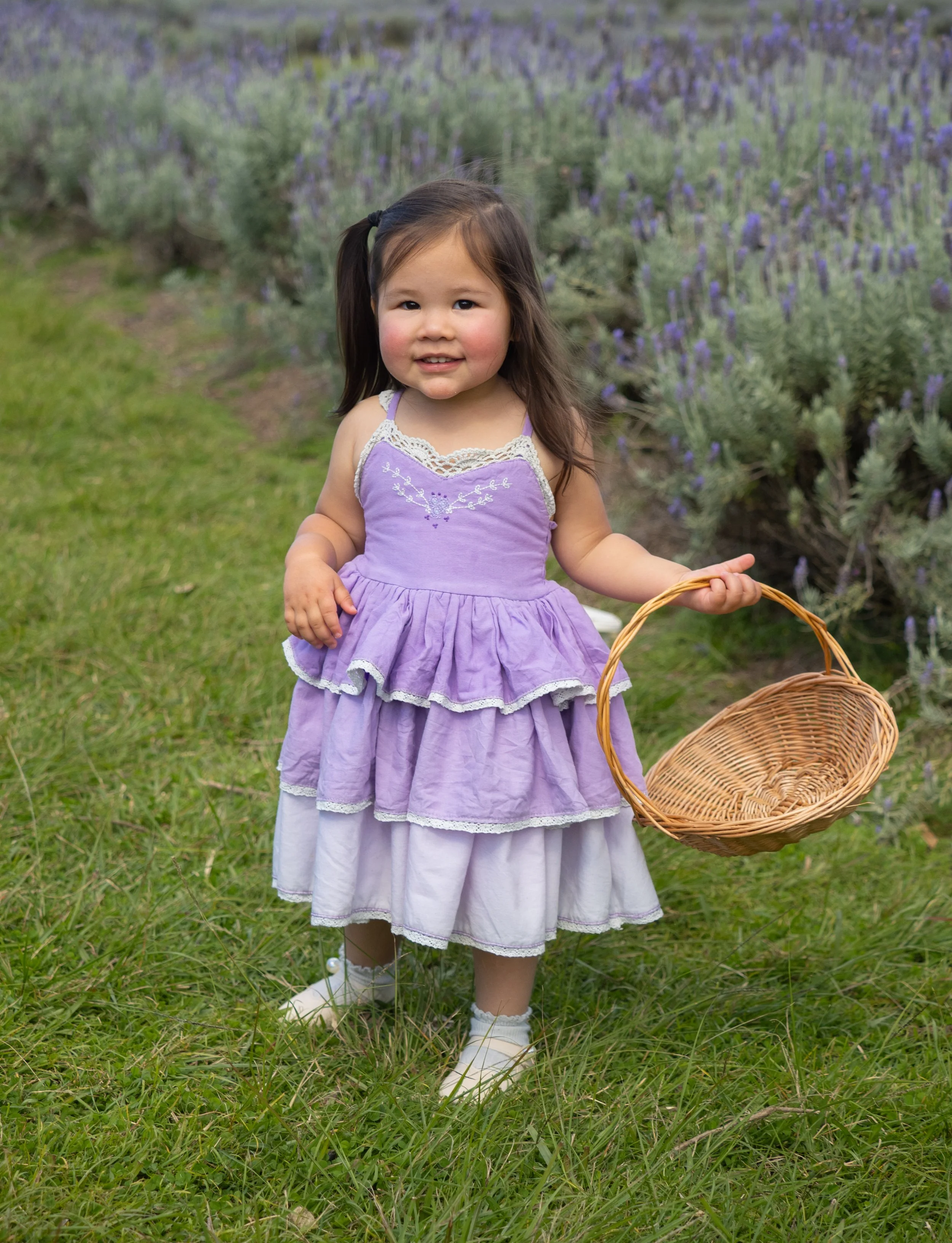 promo lavender (12 of 13).JPG