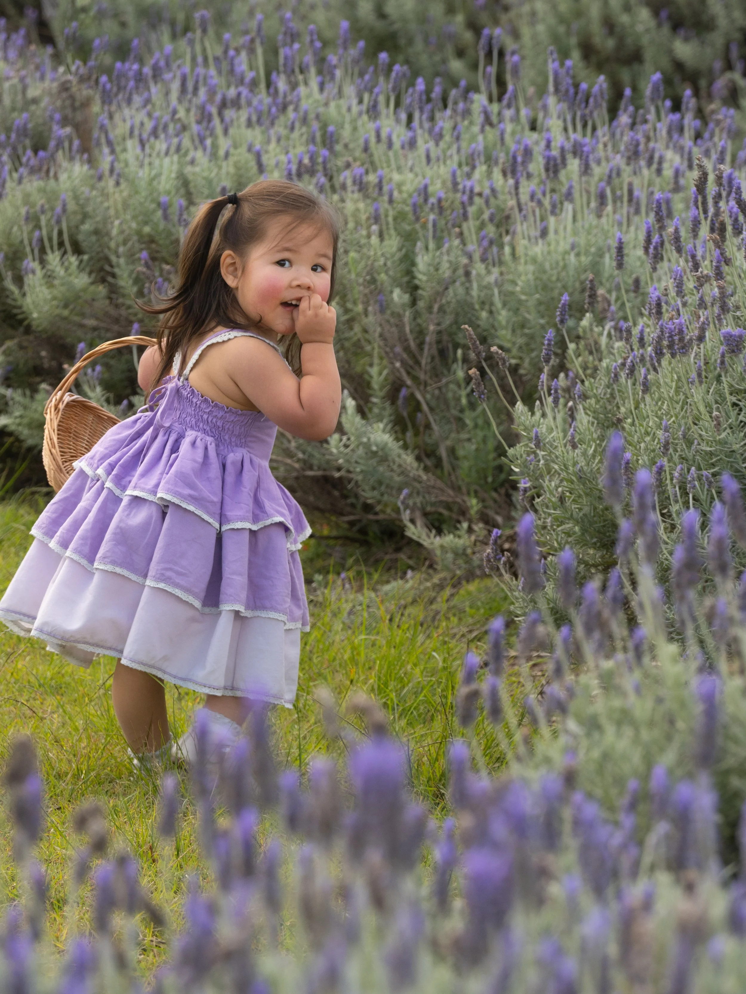 promo lavender (11 of 13).JPG