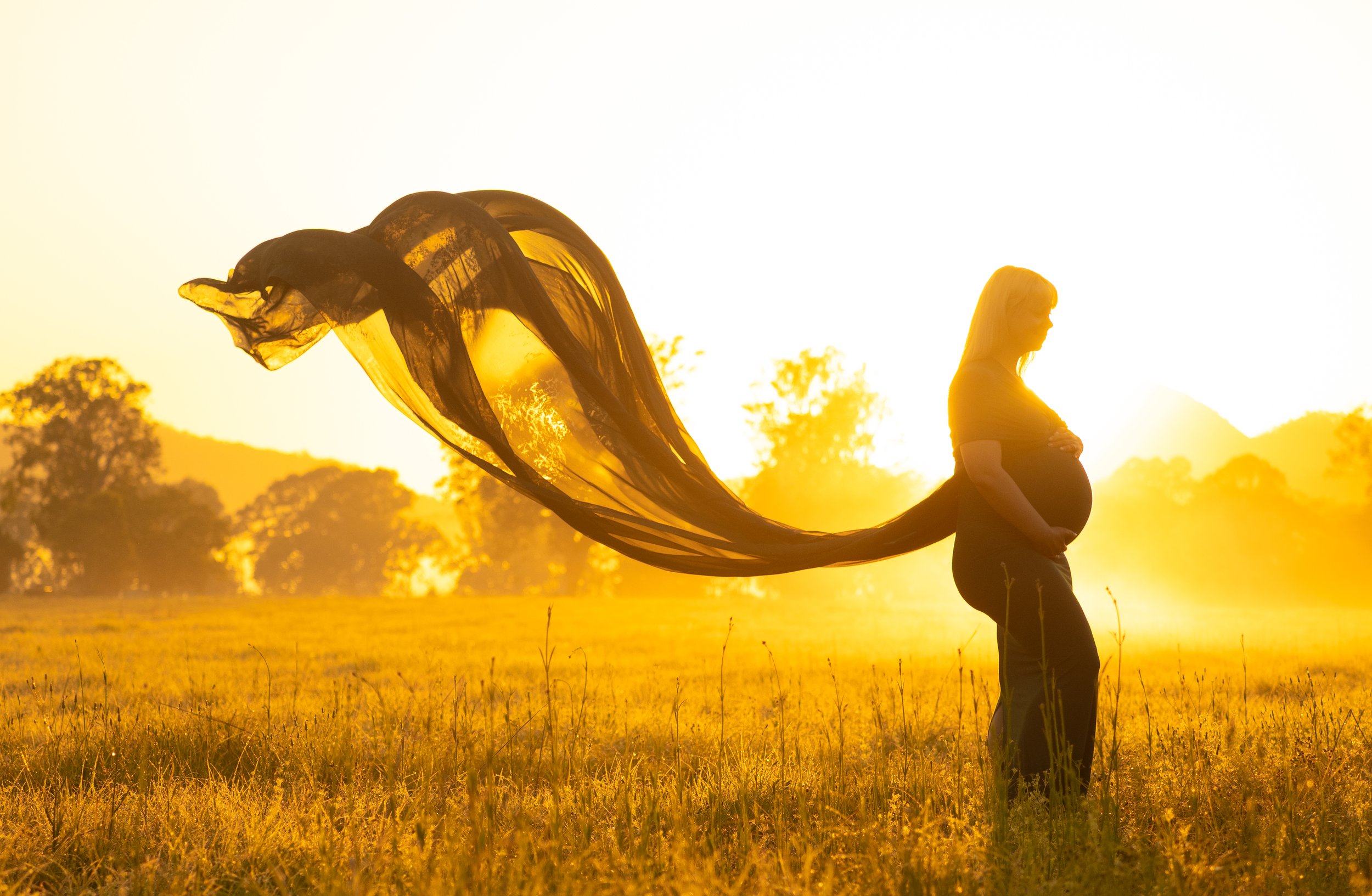 The silhouette of a preganat woman holding her baby bump in a dress with trians flying in the wind on a golden lit morning maternity session in the golden fields of the Scenic Rim.