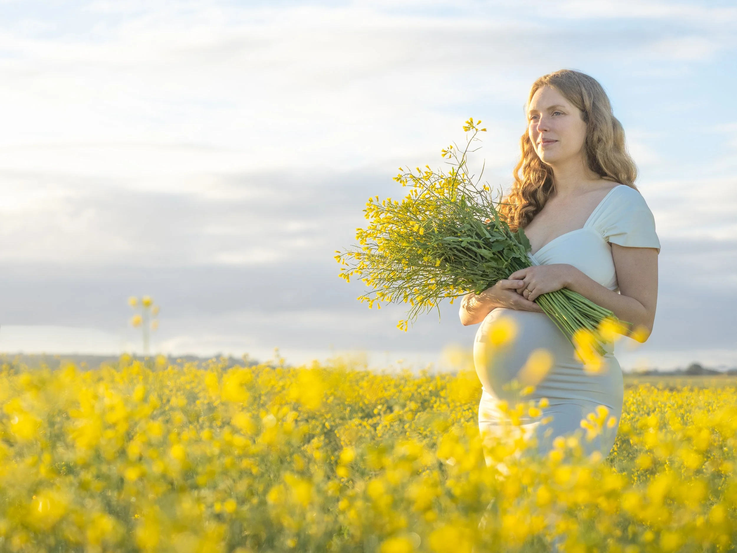 Masternity photos in a yellow canola fields in the Scenic Rim