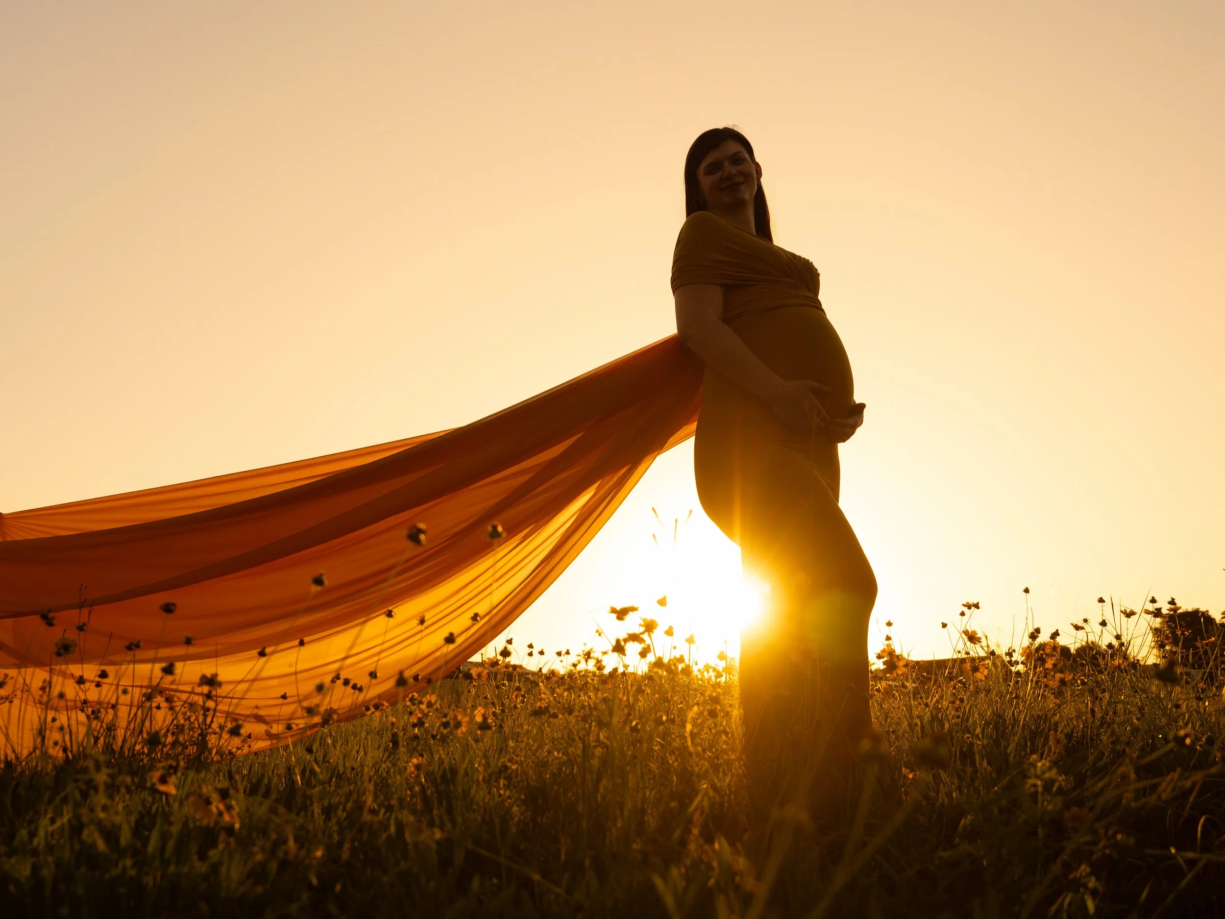 A pregnant mother holding hre belly while standing as a silhouette in the afternoon sun in a field of flowers for a maternity session in Ipswich.