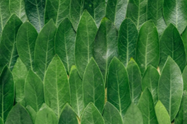 Three Ways To Give Yourself A Brain Spa During Chaos