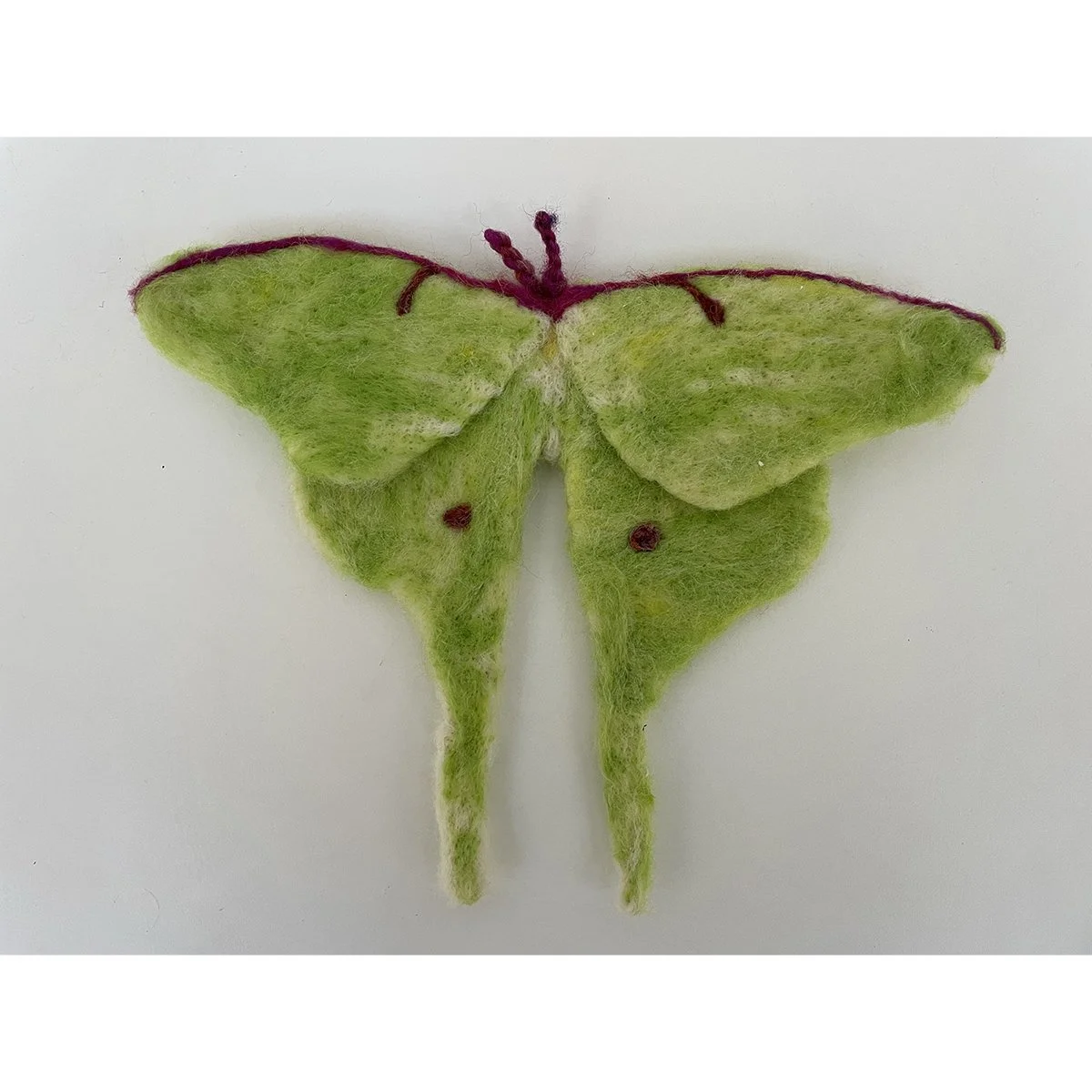 BFA Student Work, Fibers - Felted Data Visualization: The anatomy of a moth at 8x magnification