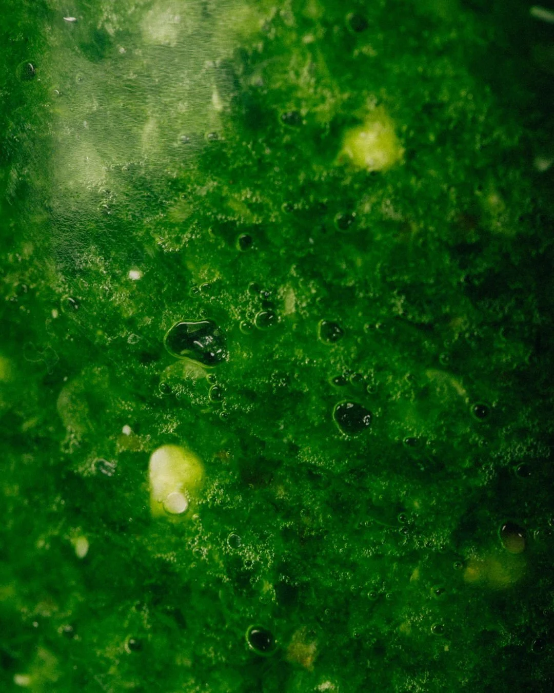 Green Chilli Ferment (1.8% salt)
It’s no surprise that chillies play an integral role in how we build flavour here at SAADI. At times when they don’t have a place on the menu, we preserve them in lashings of salt, letting them rest on ou