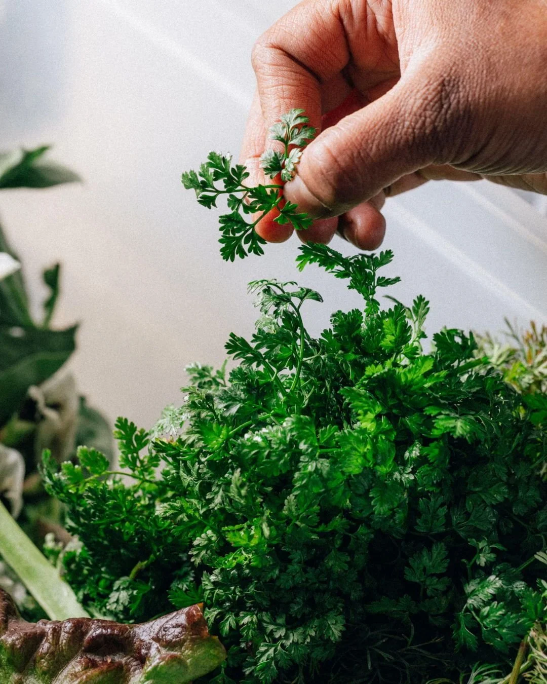 December &amp; January &mdash; Holiday Hours

Closed: Dec 24th - 26th
Open: Dec 27th
Closed: Dec 28th - 30th
Open for NYE dinner on the 31st.

Back as usual from Jan 14th.

What a year. Thank you all very much x