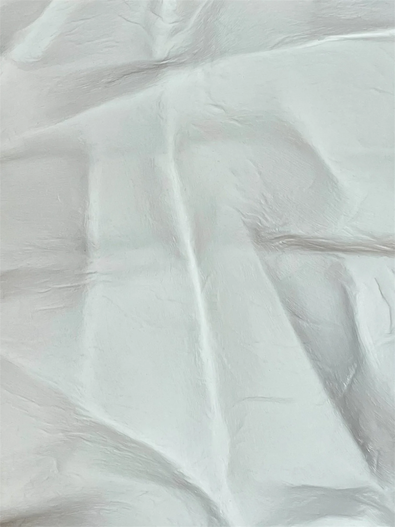 Latencia_Paloma_Rocha_Detalle1.JPG